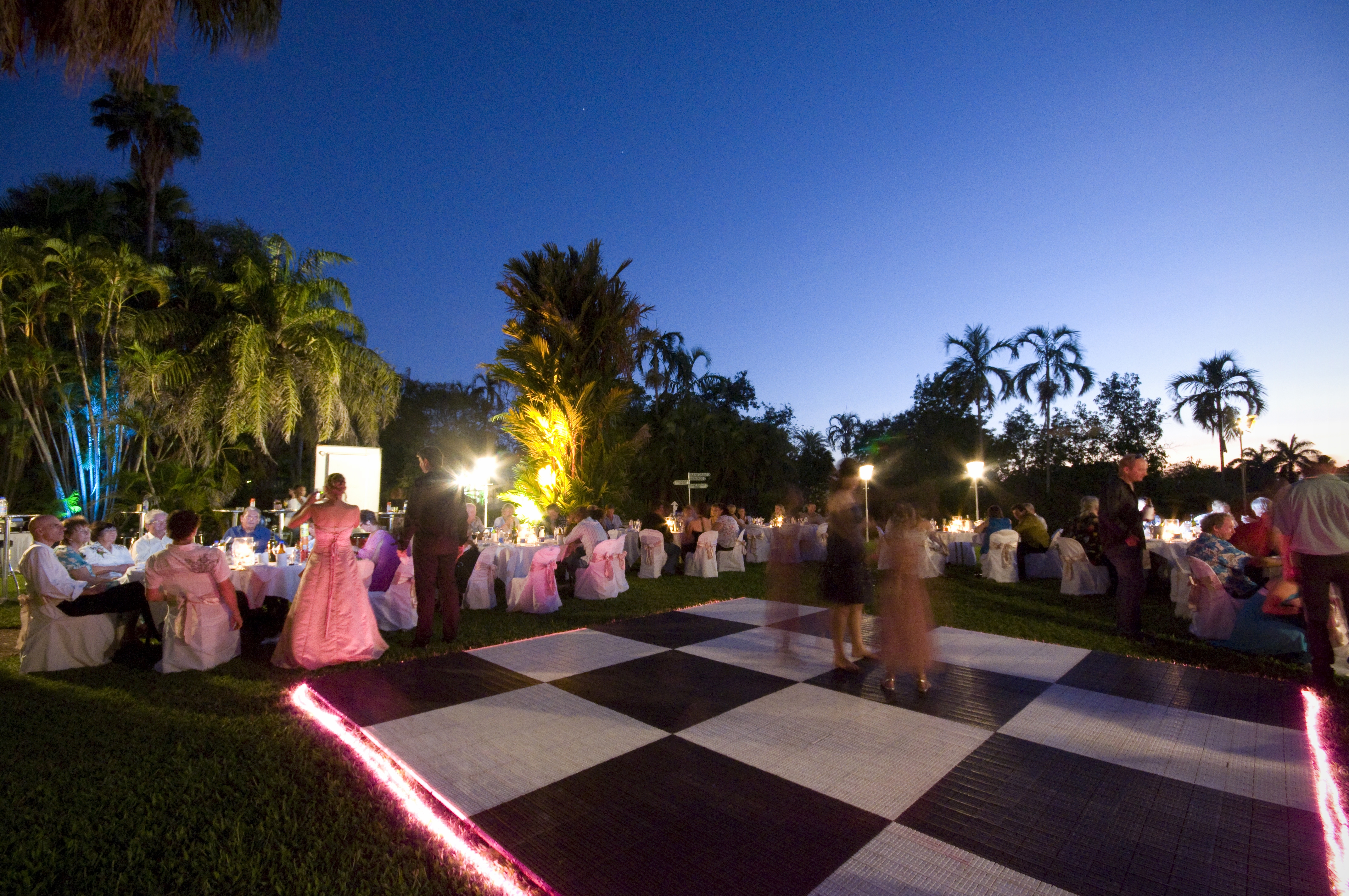 dance floor with snake lights